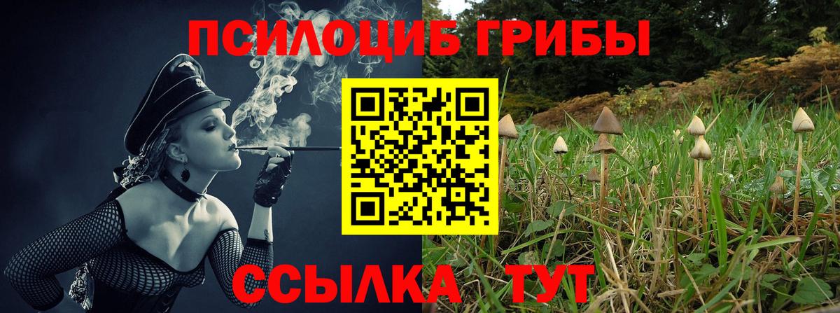 Cocaine  Аксай  Вход с VPN  Меф МЯУ МЯУ кристаллы  Канабис  Гашиш 