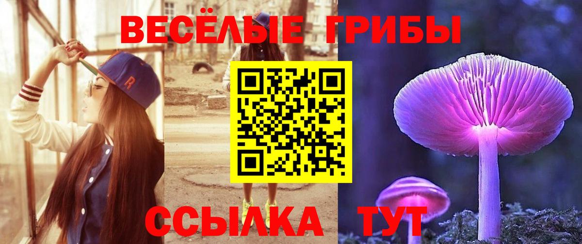 Аксай  Галлюциногенные грибы ЛСД  Вход с VPN  Псилоцибиновые грибы Cubensis 